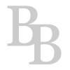 Borgica Benelux logo